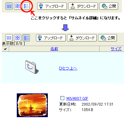 TlCڍ