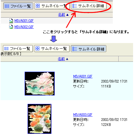 TlCڍ