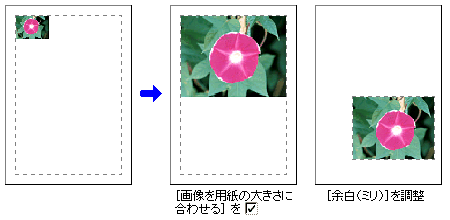 �����}�F������̑傫����]���̒���