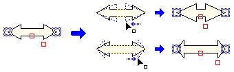 t̖̊pxE̔{FH̐