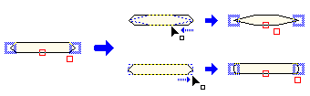 t̖̊pxFH̐