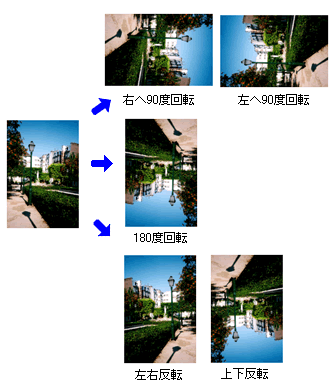 摜̉]