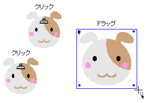 hbOăX^v̑傫w肷