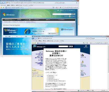 Internet Explorer  Netscape ̉