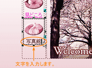 ͂܂
