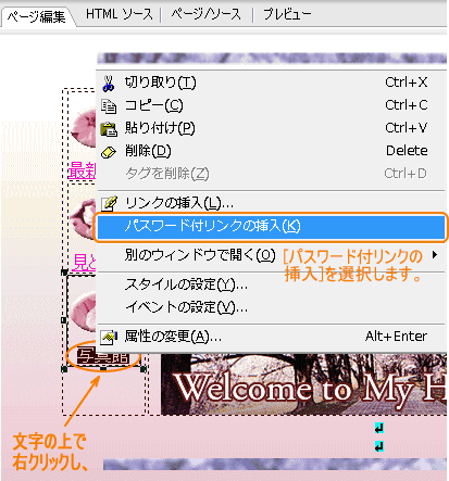[pX[htN̑}]I