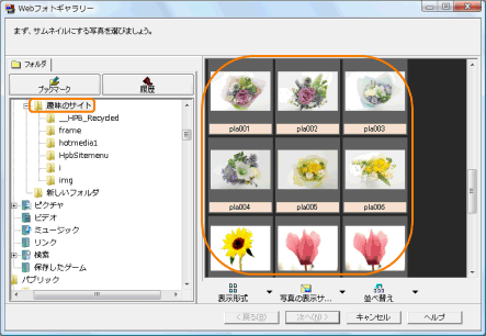 TlC쐬EBU[htH_[I
