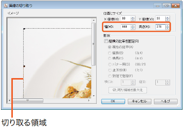 摜̐؂