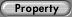 [Property]{^