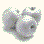ACRFPF̃mN