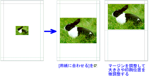 摜̃TCY